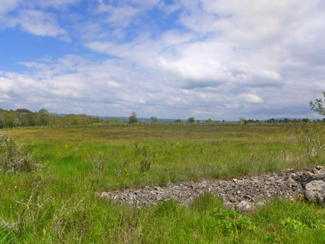 Aménagement foncier et Environnement