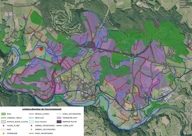 L'environnement dans la procédure d'aménagement foncier.