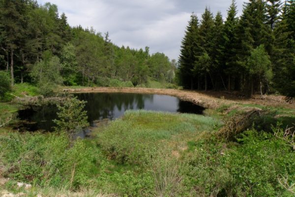 Le Puy de la Tuile