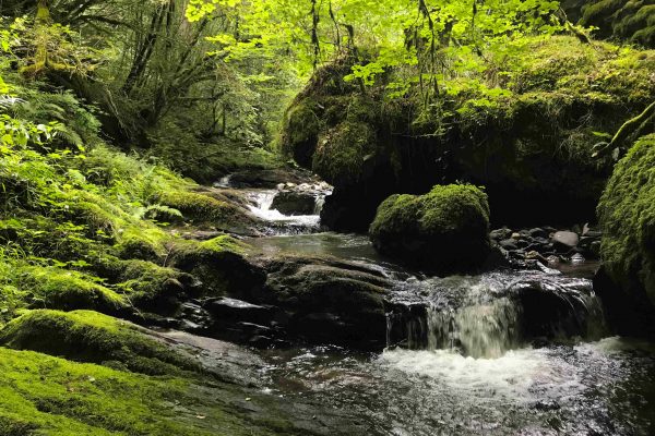 Gorges de l'Embène