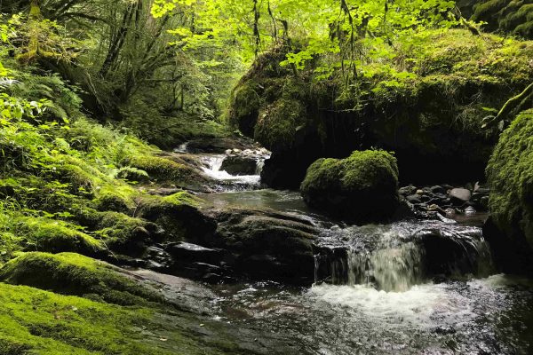 Gorges de l'Embène