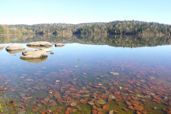 Lac de la Crégut