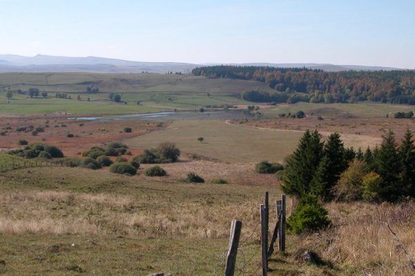 Tourbière du Jolan