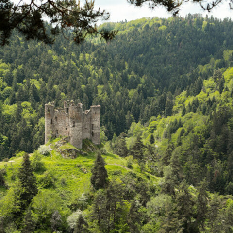 Château d'Alleuze