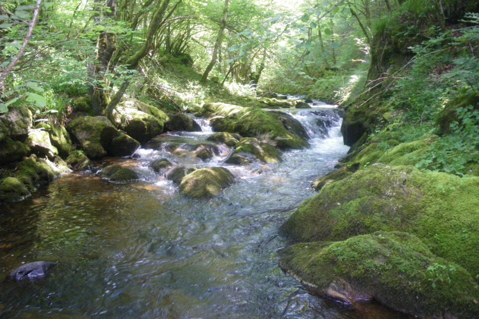 Label Rivières Sauvages