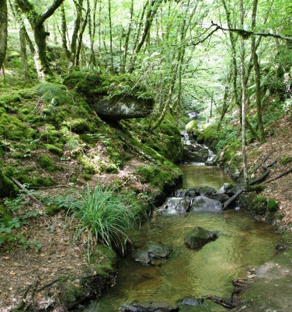Le Bois du Marilhou Espace Naturel Sensible du Cantal