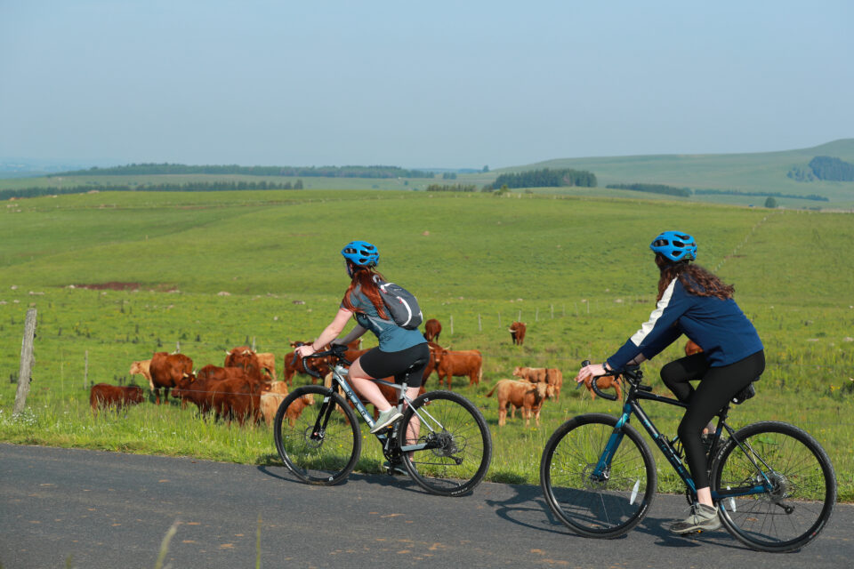 Randonnée gravel VTT dans le Cézallier