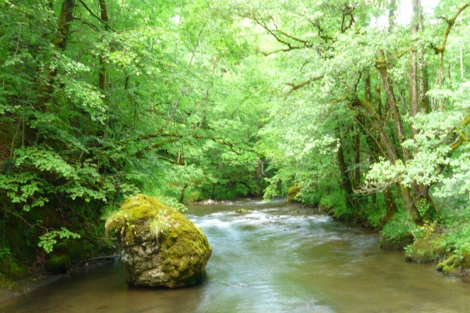 Gorges de la Jordanne