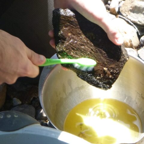 Prélèvement hydrobiologique (diatomées)