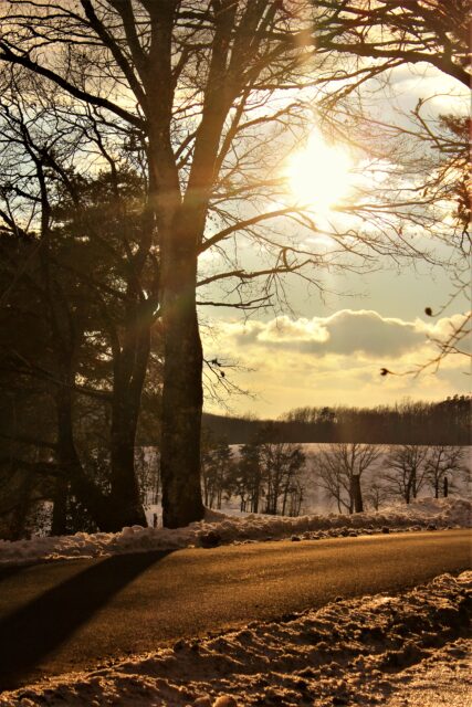 route en Châtaigneraie l'hiver