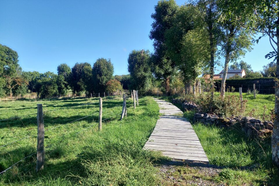 Narse de Pierrefitte