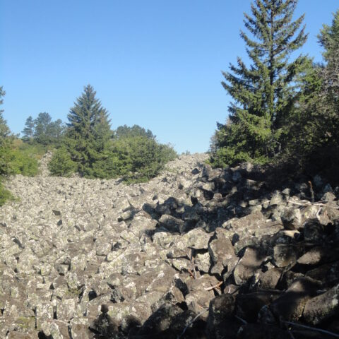 Chaos rocheux de la Roche de Landeyrat : les Espaces Naturels Sensibles (ENS) du Cantal
