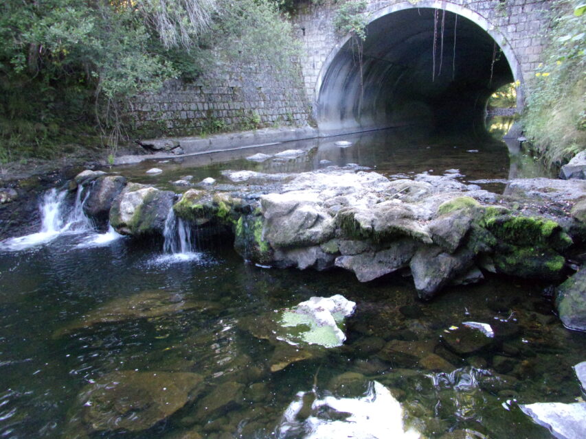 Chapsal avant travaux
