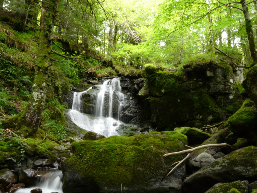 Cours d'eau : milieux aquatiques du Cantal