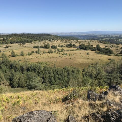 Estives à Chastel-sur-Murat : les Espaces Naturels Sensibles (ENS) du Cantal
