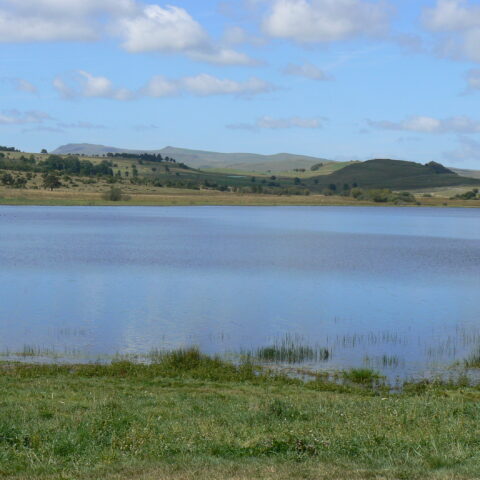 Lac du Pêcher : les Espaces Naturels Sensibles (ENS) du Cantal