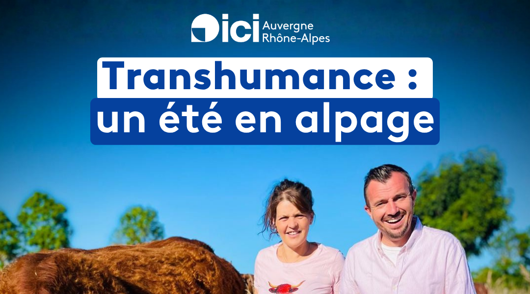 Transhumance : le Cantal à l’honneurTranshumance : le Cantal à l’honneur