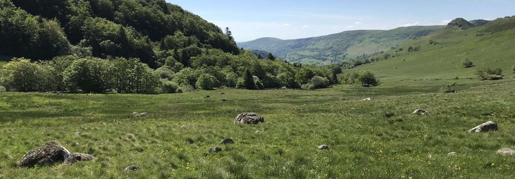 prairie à Récusset