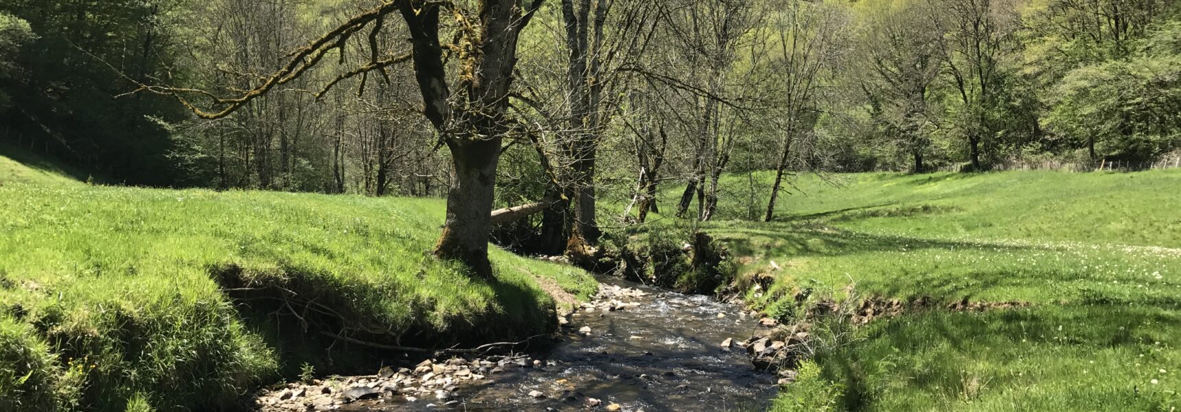 Rivière Rasthene : les milieux aquatiques du Cantal