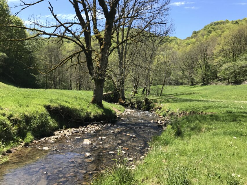 Rivière Rasthene : les milieux aquatiques du Cantal