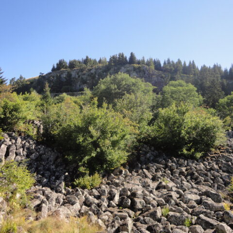 Roche de Landeyrat : les Espaces Naturels Sensibles (ENS) du Cantal
