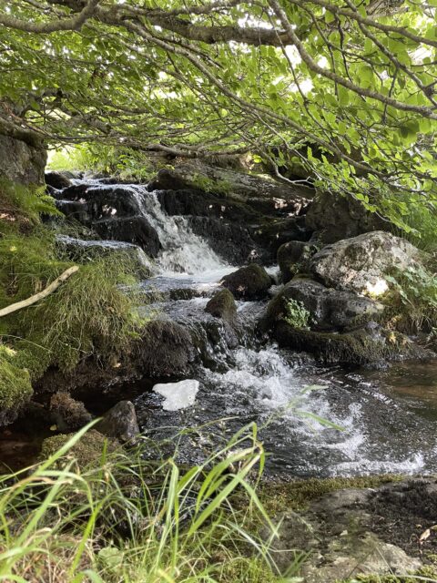 Ruisseau de livernade à Brezons : les milieux aquatiques du Cantal