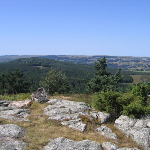 Vue du Sommet du Puy de la Tuile : les Espaces Naturels Sensibles (ENS) du Cantal